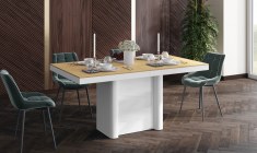 FORUM table  (high gloss / super matt)