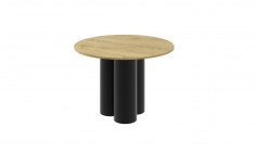 RAVEO Round Table  (high gloss / super matt)